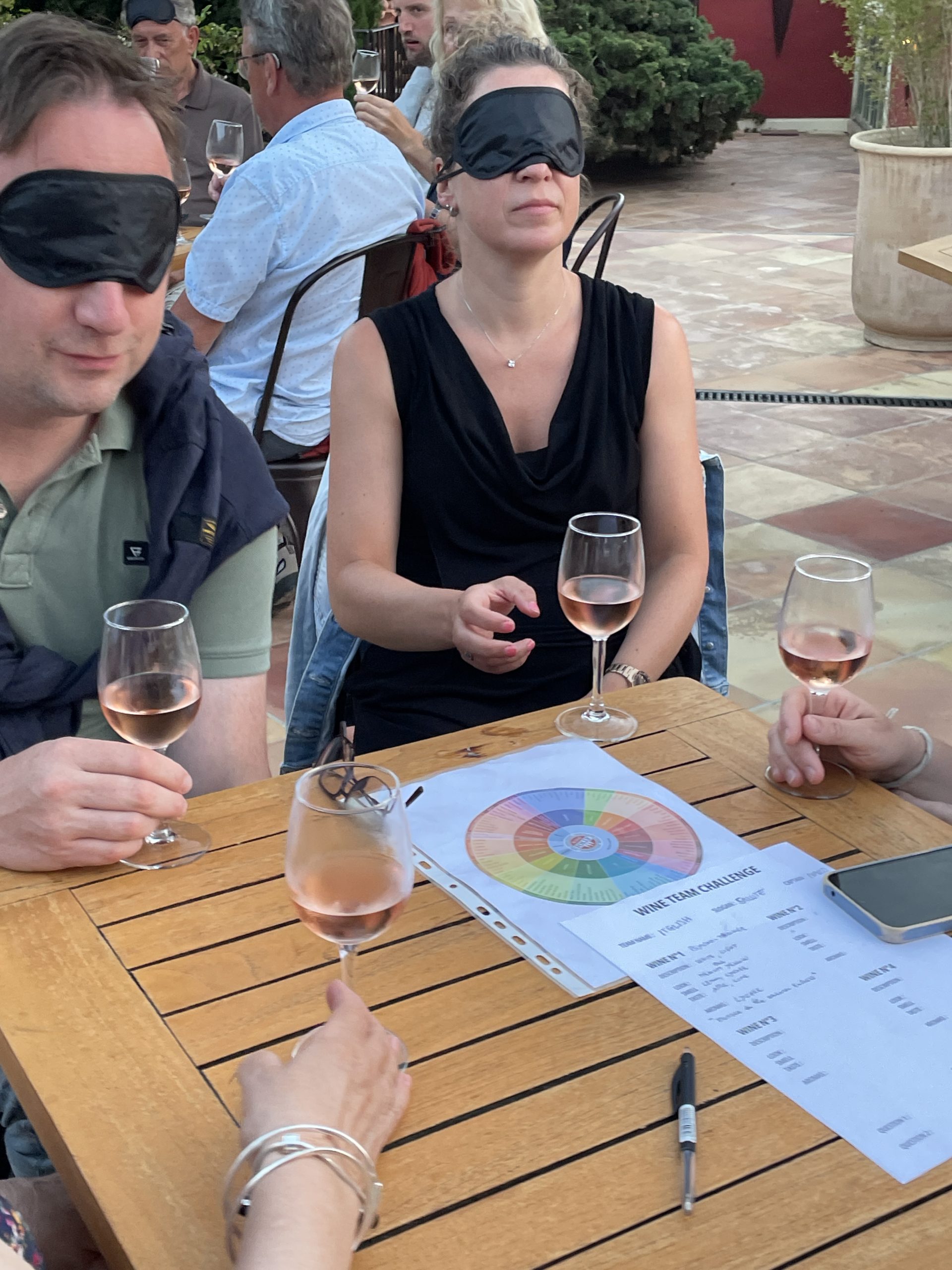 Atelier de dégustation avec roue des arômes — cours d'œnologie à Montpellier